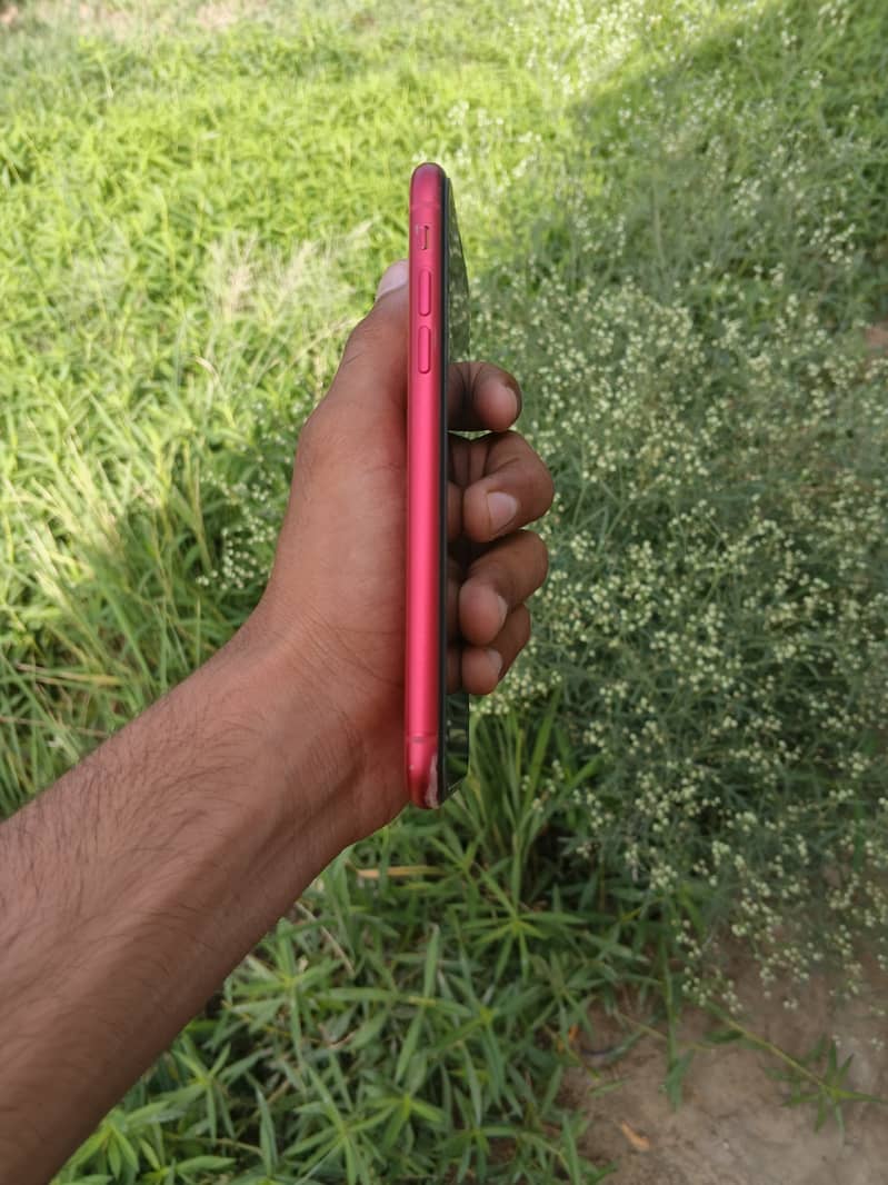 Apple iPhone 11 4