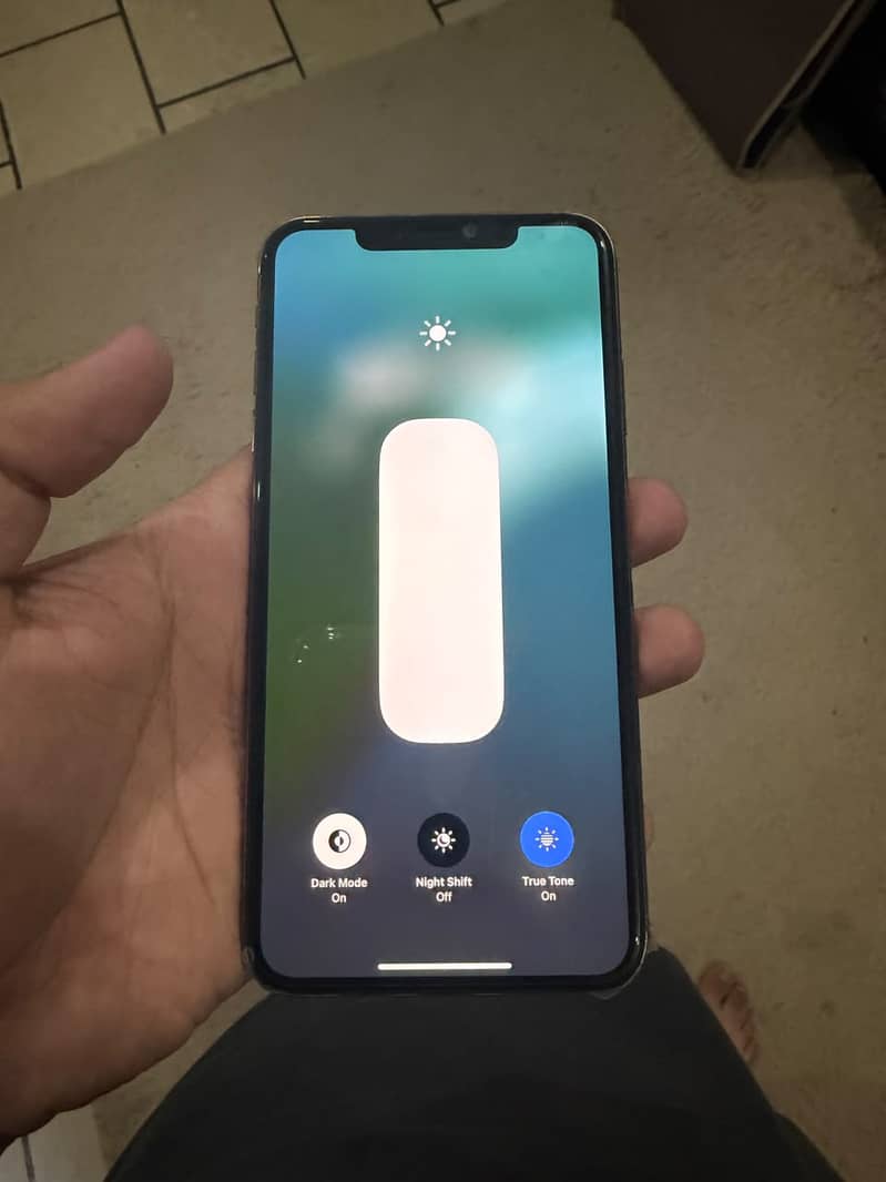 Apple iPhone XS Max 2