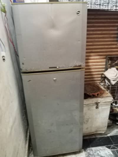 pel fridge for sale