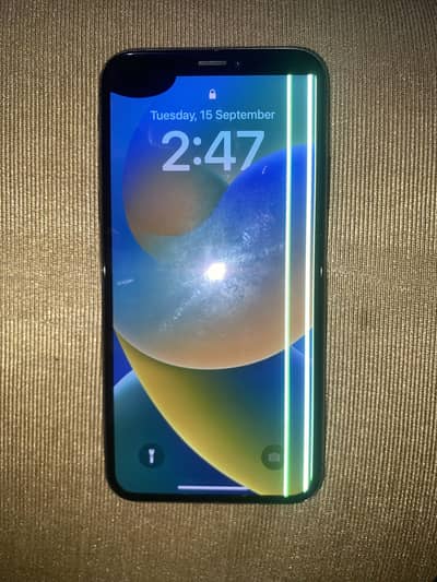Apple iPhone X