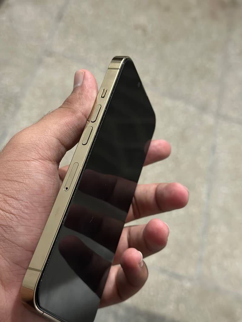 Apple iPhone 13 Pro 1