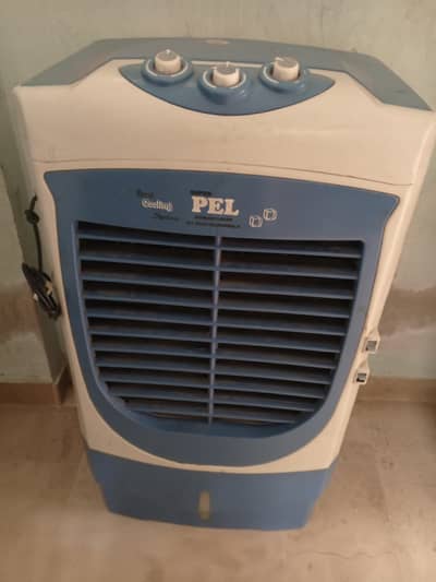 pal air color good candidate