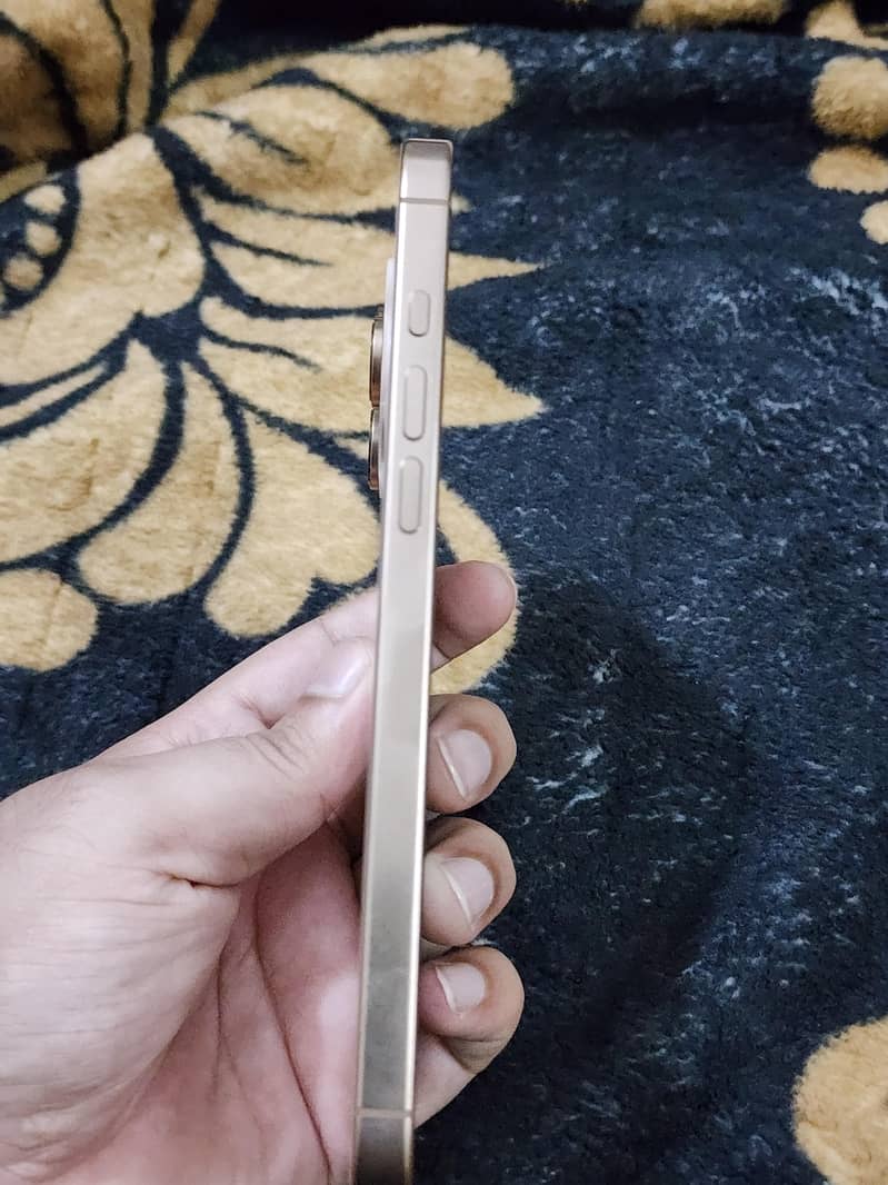 Apple iPhone 16 Pro Max 2