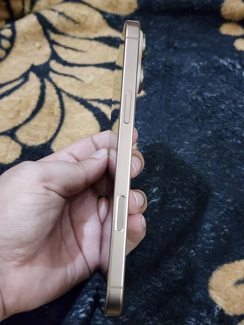Apple iPhone 16 Pro Max 3