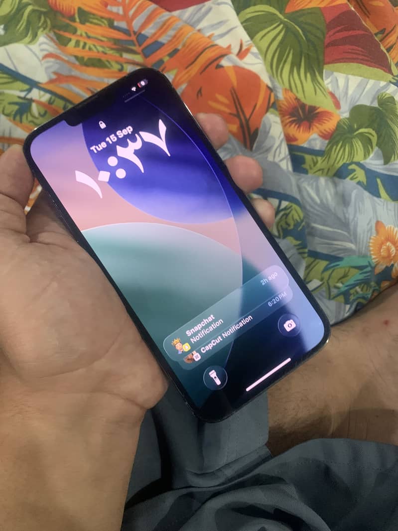 Apple iPhone 13 Pro Max 12