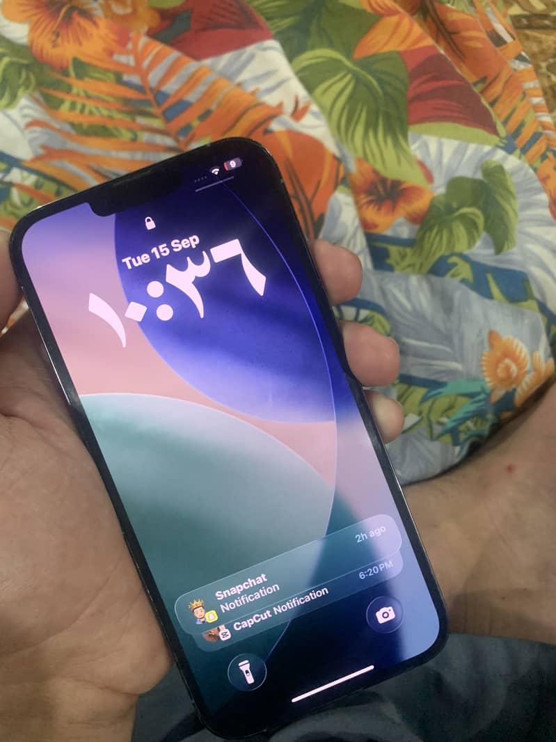 Apple iPhone 13 Pro Max 1