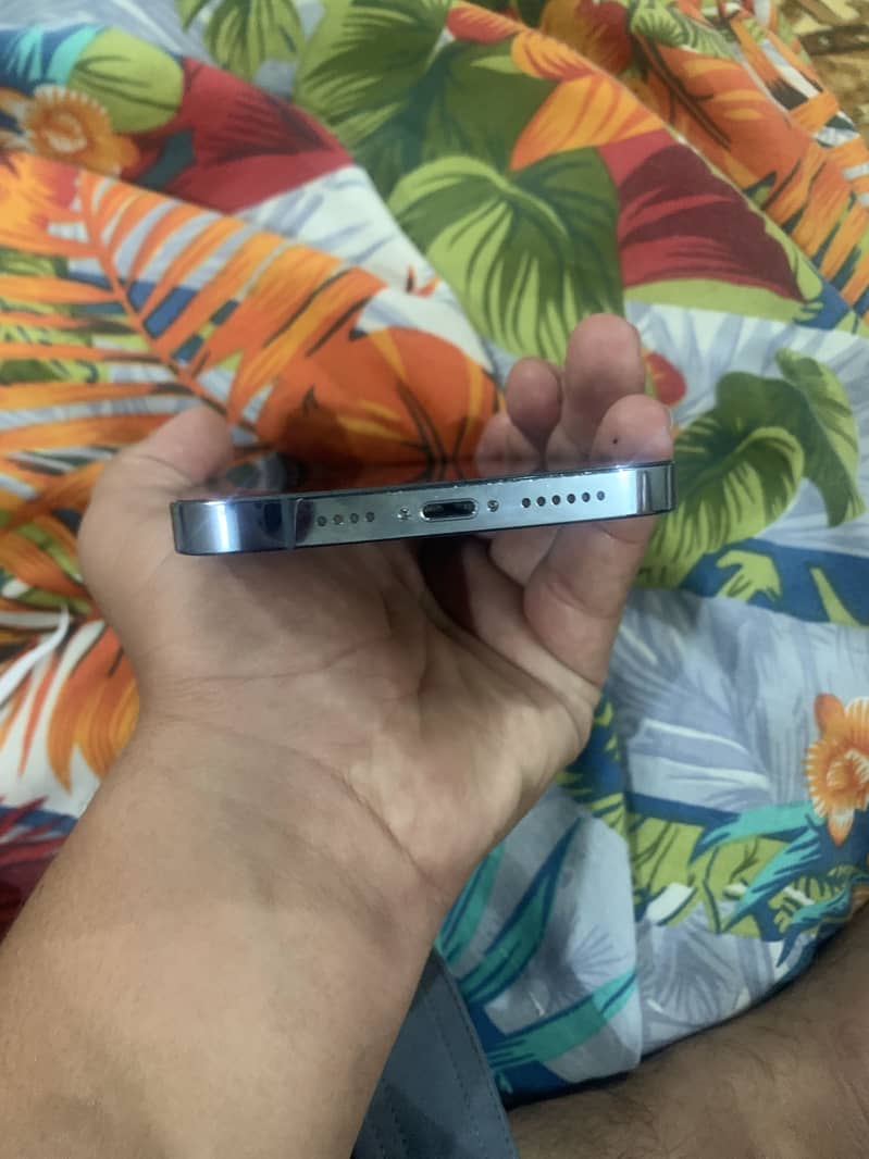 Apple iPhone 13 Pro Max 2