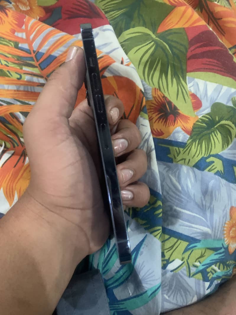 Apple iPhone 13 Pro Max 3