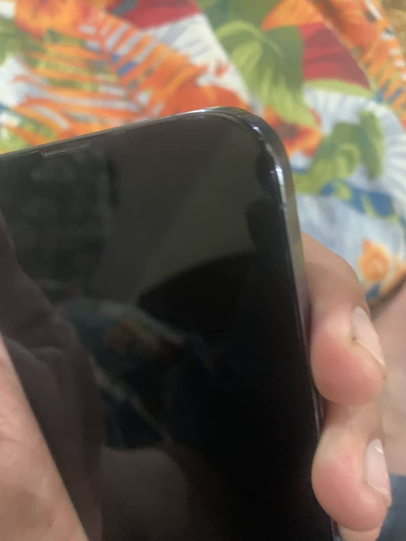 Apple iPhone 13 Pro Max 10
