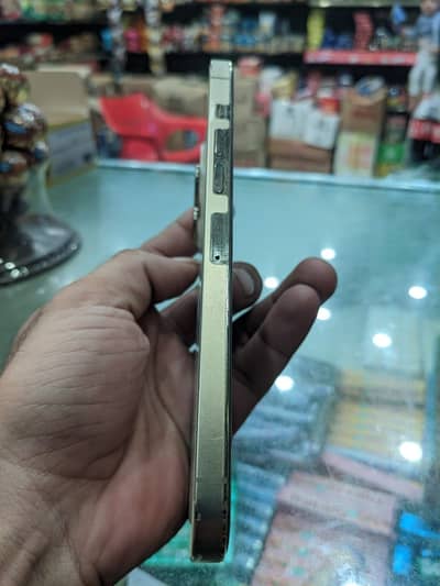 Apple iPhone 13 Pro Max jevi