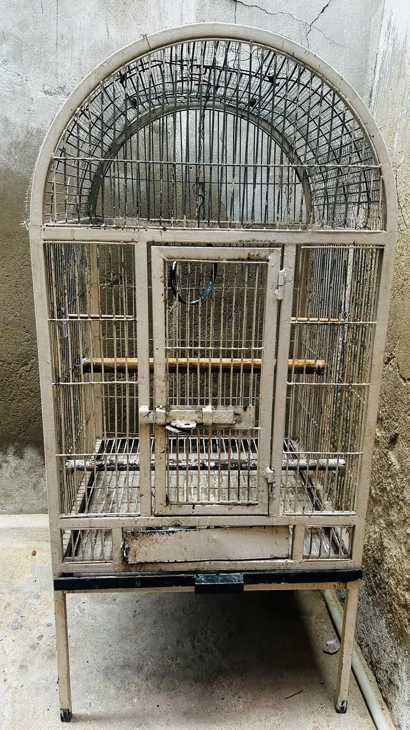 cage pinjra