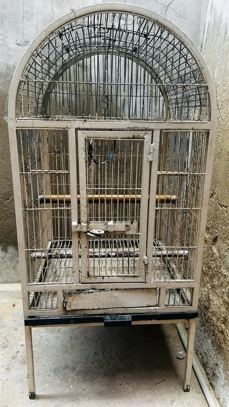 cage pinjra — photo 2