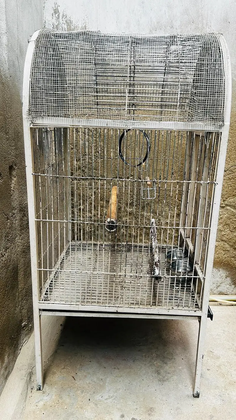 cage pinjra — photo 3