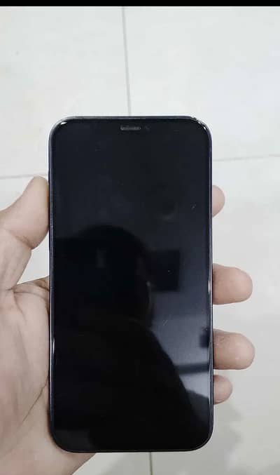 Apple iPhone 12