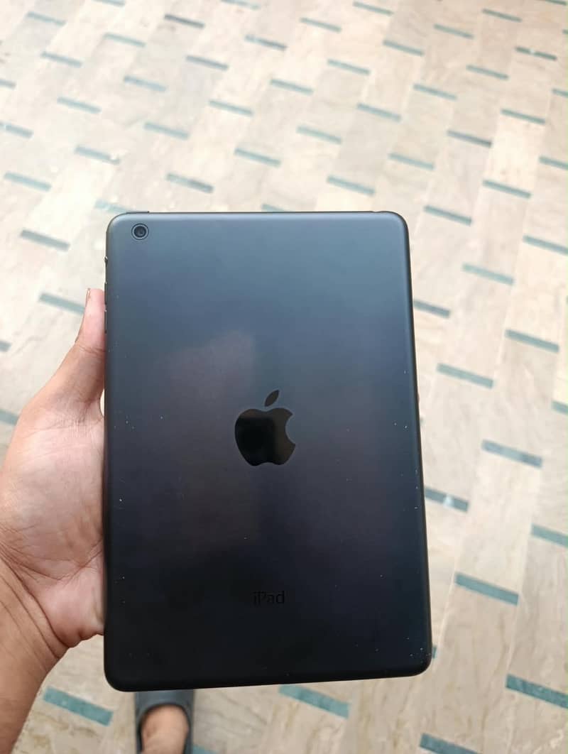 Ipad Mini 1 0