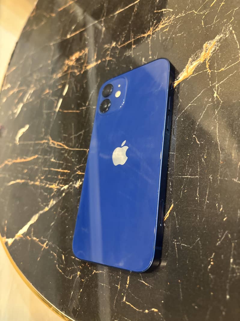 Apple iPhone 12 1