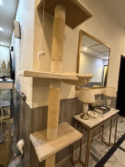 Large Floor-to-Ceiling Cat Tree & Scratching Post – Multi Level