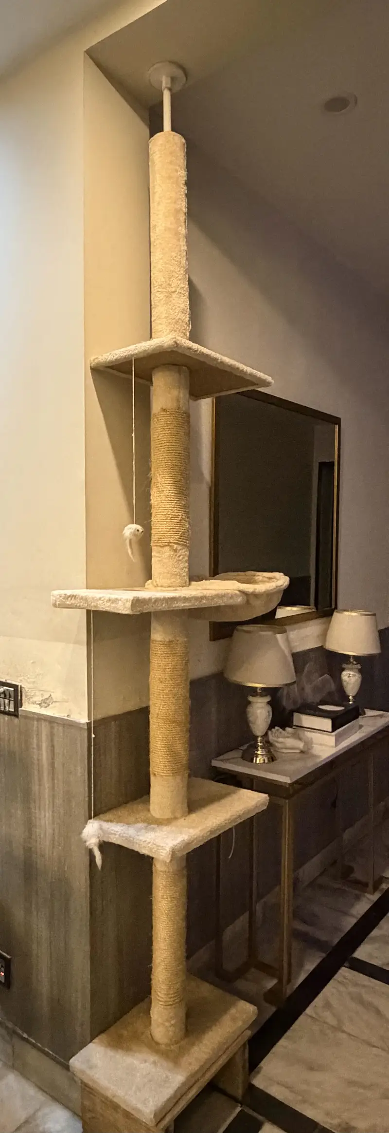 Large Floor-to-Ceiling Cat Tree & Scratching Post – Multi Level — photo 3