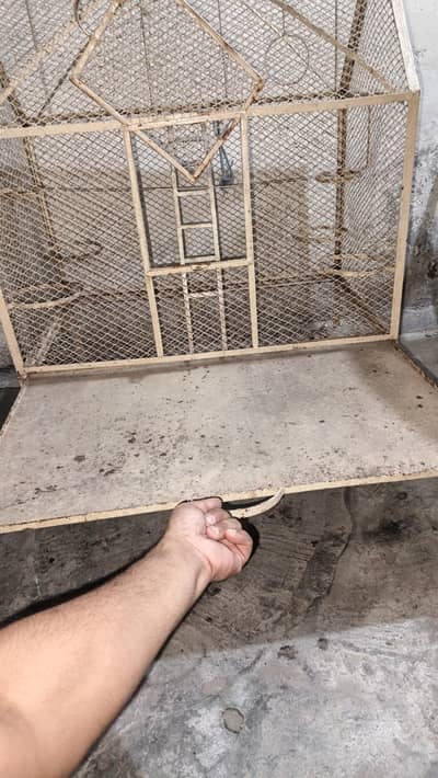4 portion cage Lina ha