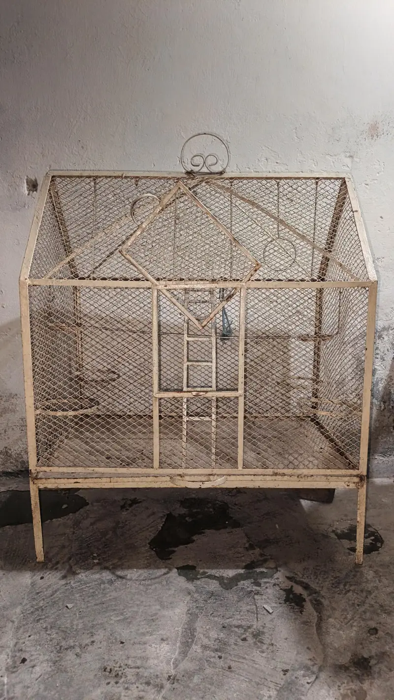 4 portion cage Lina ha — photo 2