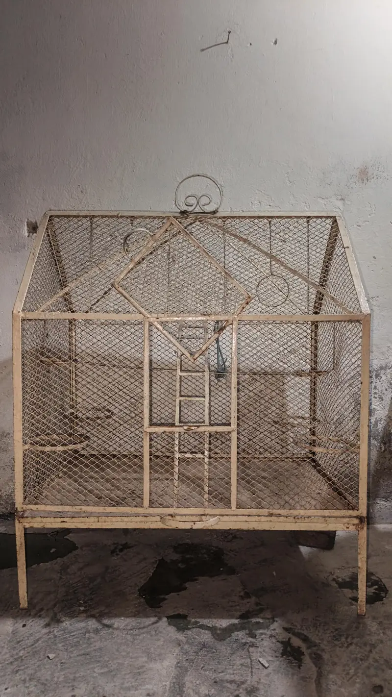 4 portion cage Lina ha — photo 3