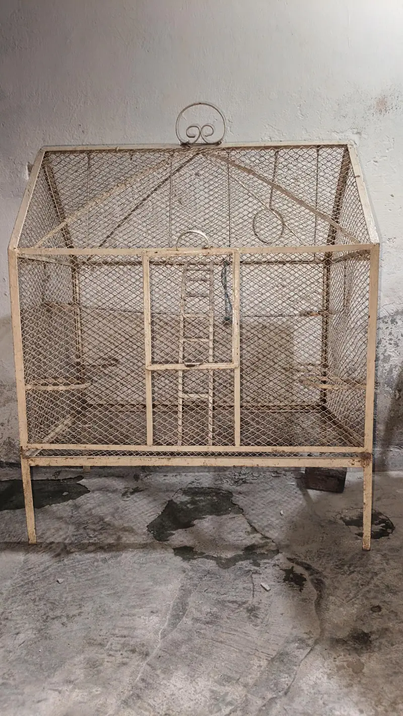4 portion cage Lina ha — photo 4