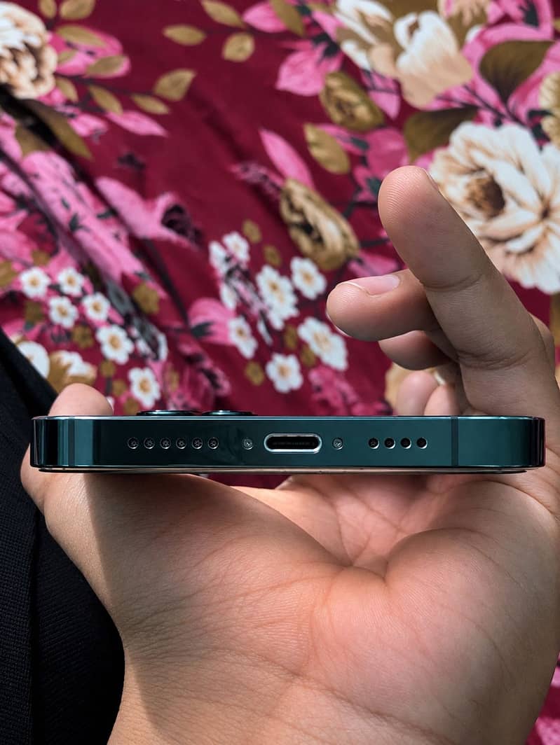 Apple iPhone 13 Pro Max 0