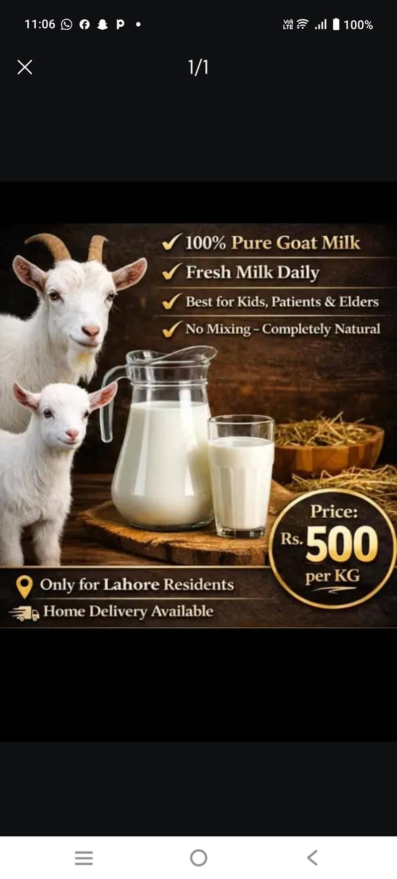 بکری کا خالص دودھ دستیاب ہے بغیر پانی کے بغیر پاؤڈر کے 0