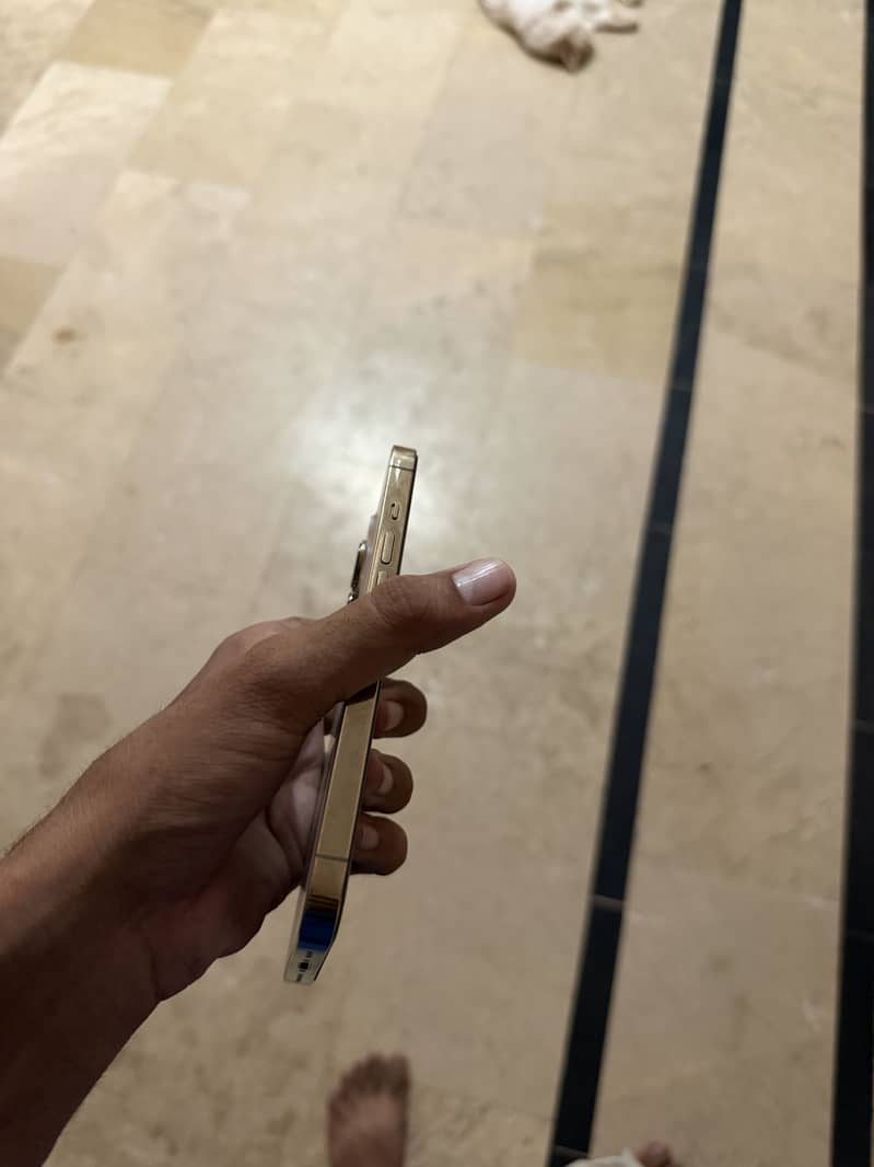 Apple iPhone 13 Pro 1