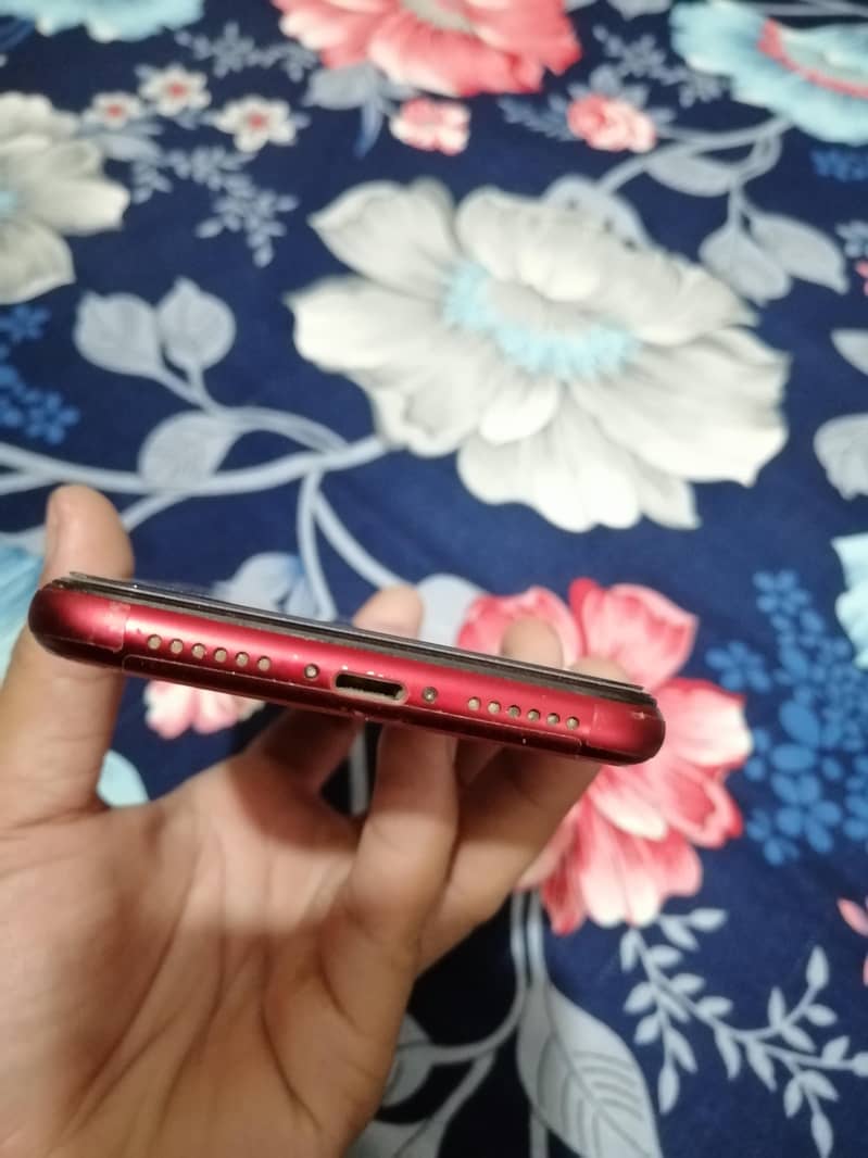 Apple iPhone 11 3