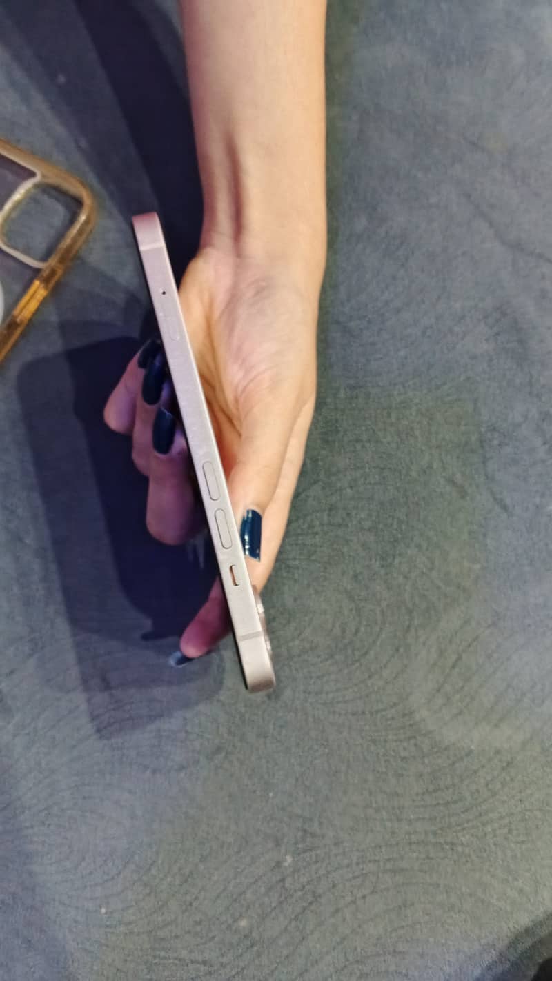 Apple iPhone 13 0