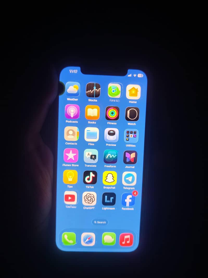 Apple iPhone 12 0