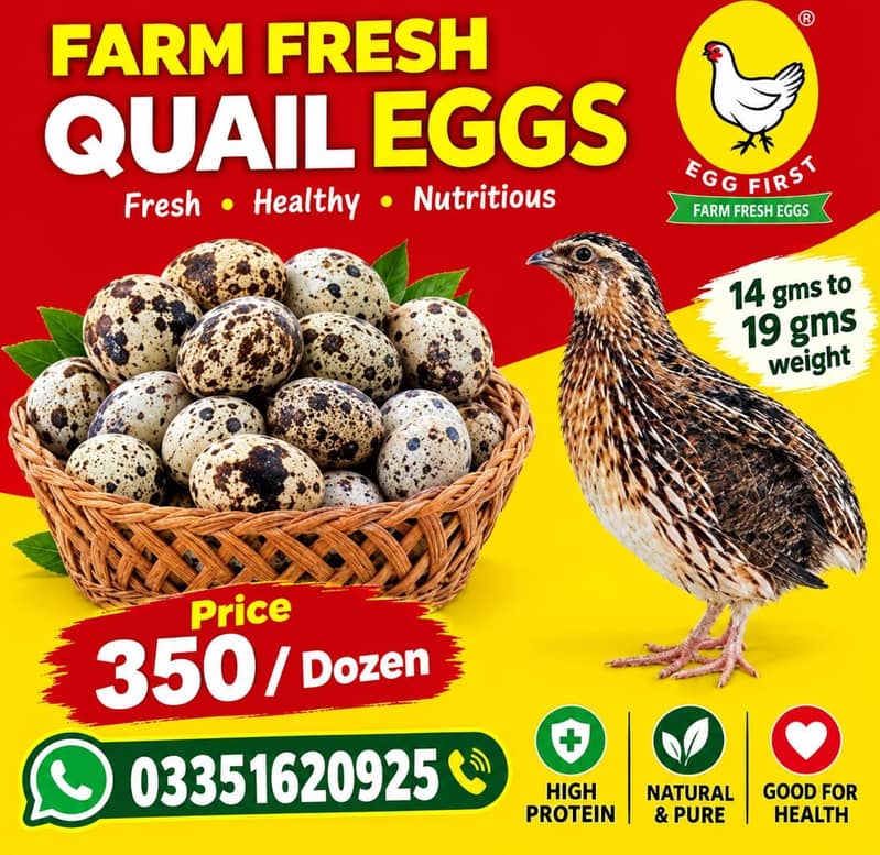 Fresh eggs 1