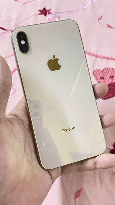 Apple iPhone XS Max 256 PTA Approved