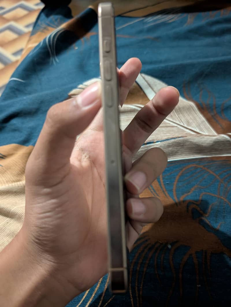 Apple iPhone 16 Pro Max 2