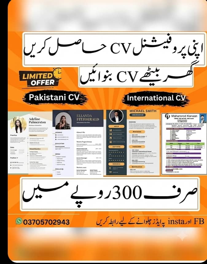 Professional cv maker 0