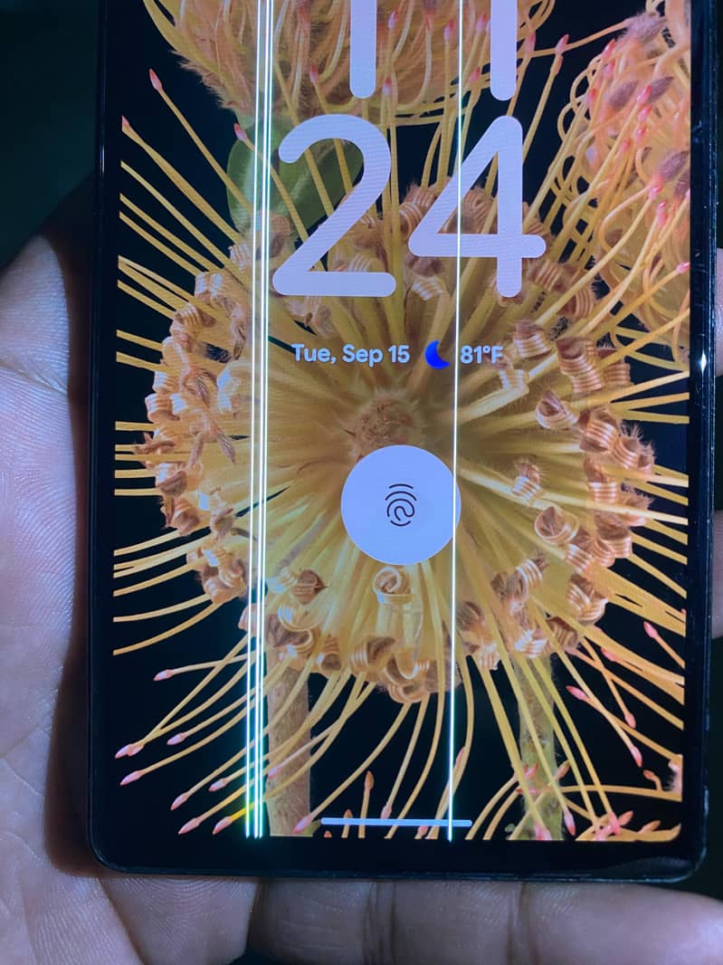 Google Pixel 6 0