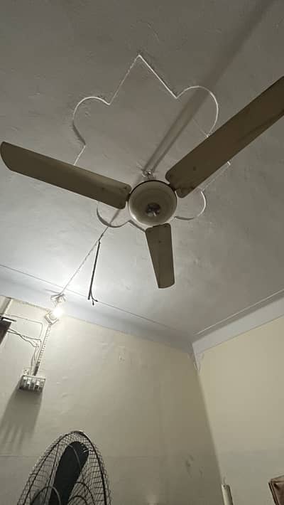 Cieling fans