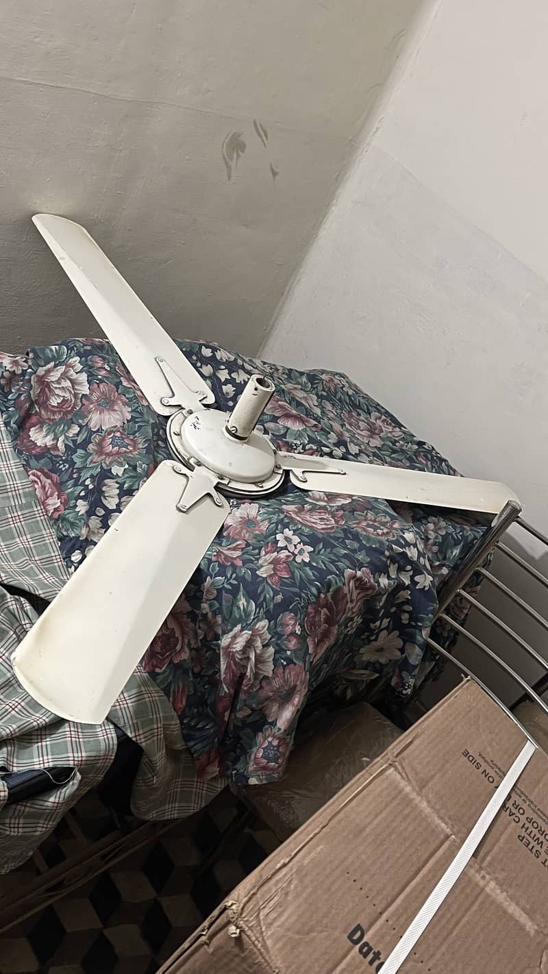 Cieling fans 1