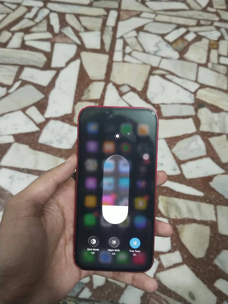 Apple iPhone 13 12