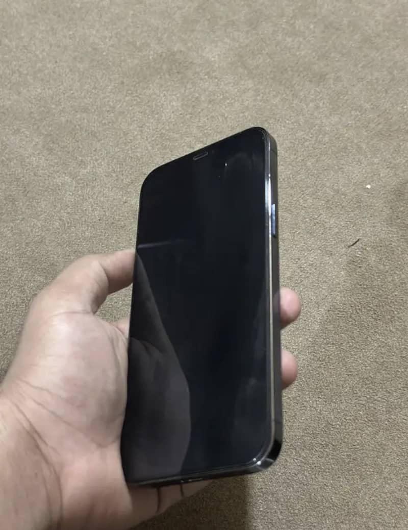 Apple iPhone 12 Pro Max 2