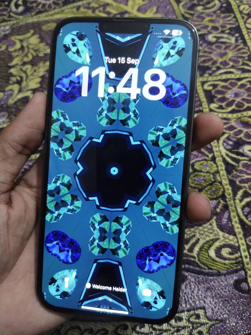 Apple iPhone 13 Pro Max 0