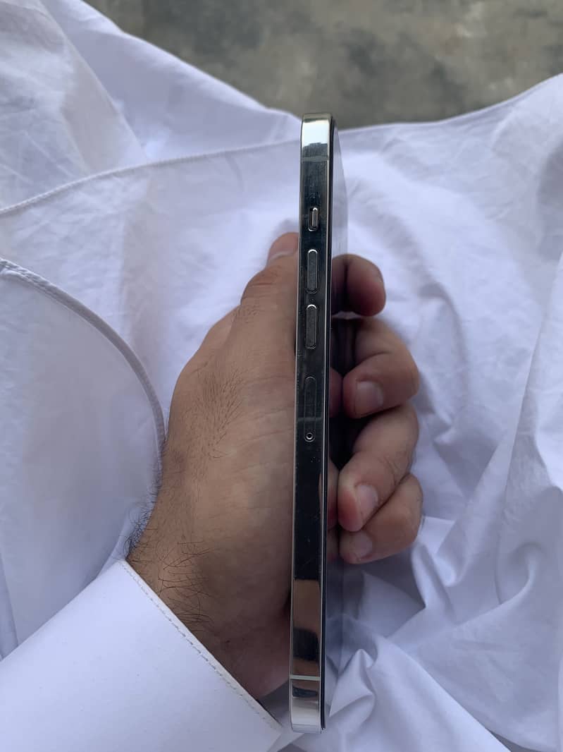 Apple iPhone 13 Pro Max 1