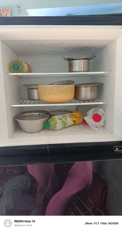 PEL 2 Door Glass Fridge URGENT SALE - 70000
