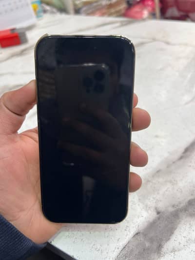 Apple iPhone 14 Pro Pta approved