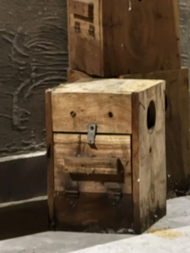 Love birds boxes — photo 2