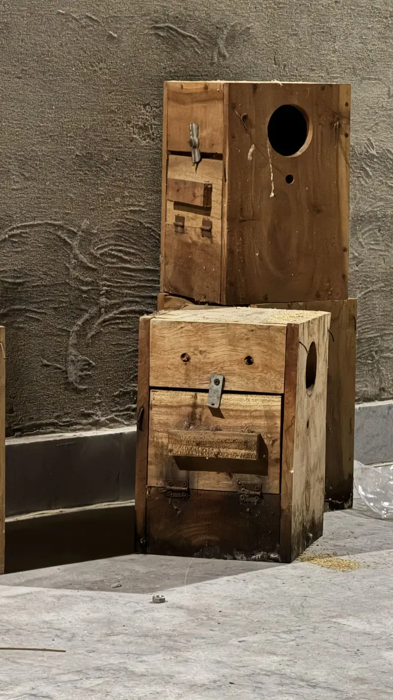 Love birds boxes — photo 3