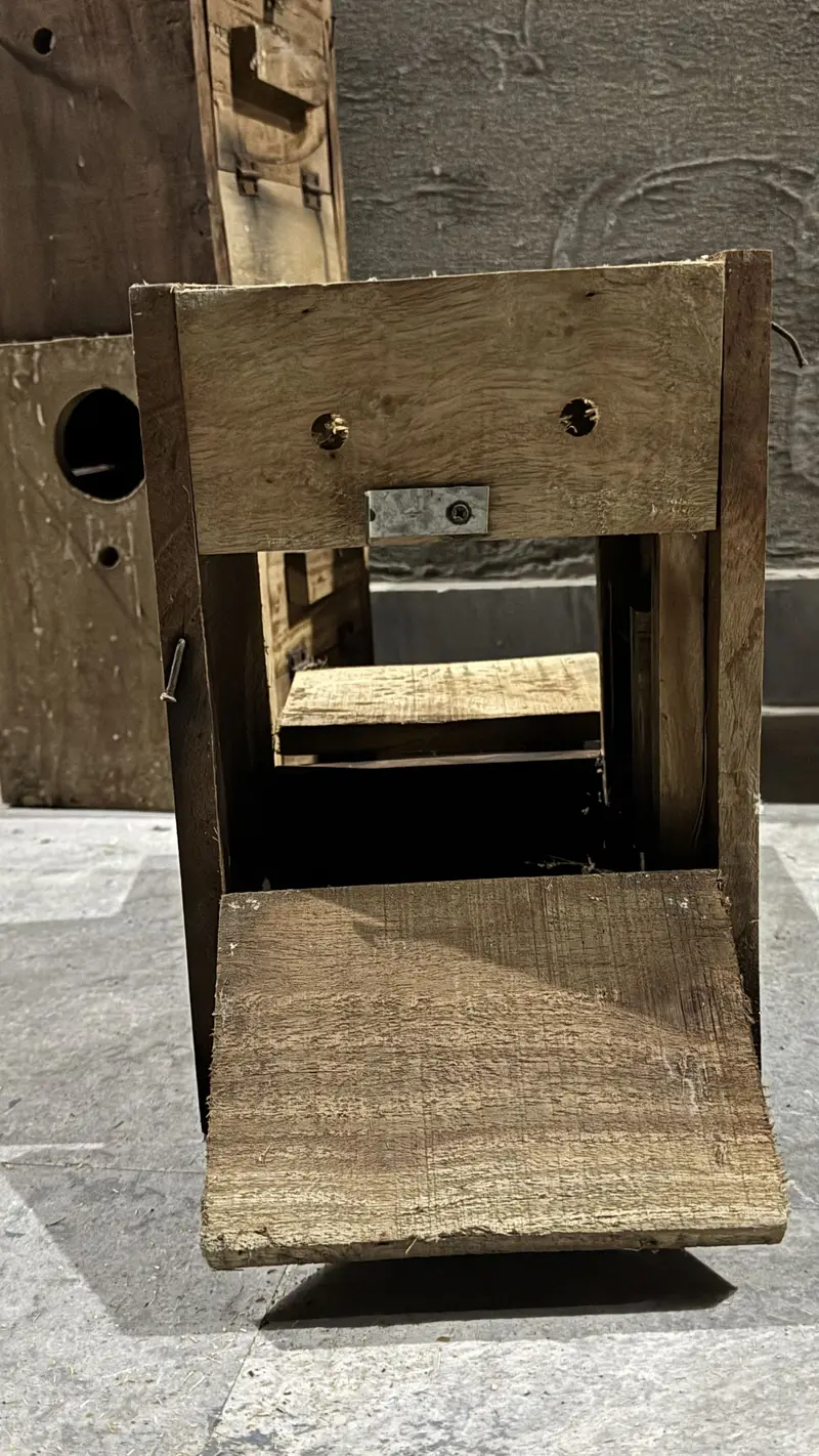 Love birds boxes — photo 4