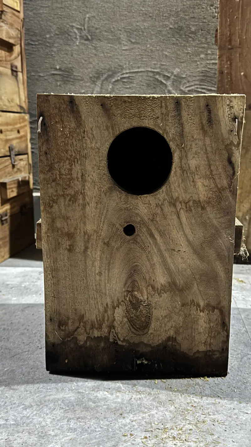 Love birds boxes — photo 5