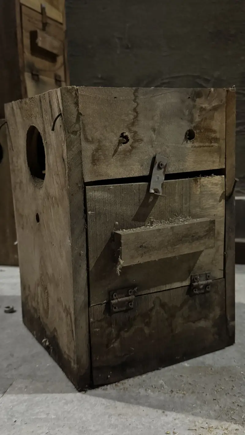 Love birds boxes — photo 6